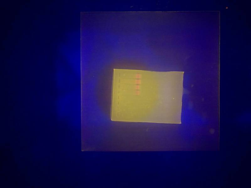 pcr.jpg pcr.jpg